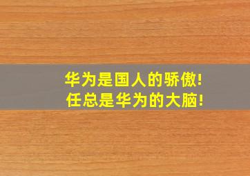 华为是国人的骄傲! 任总是华为的大脑!